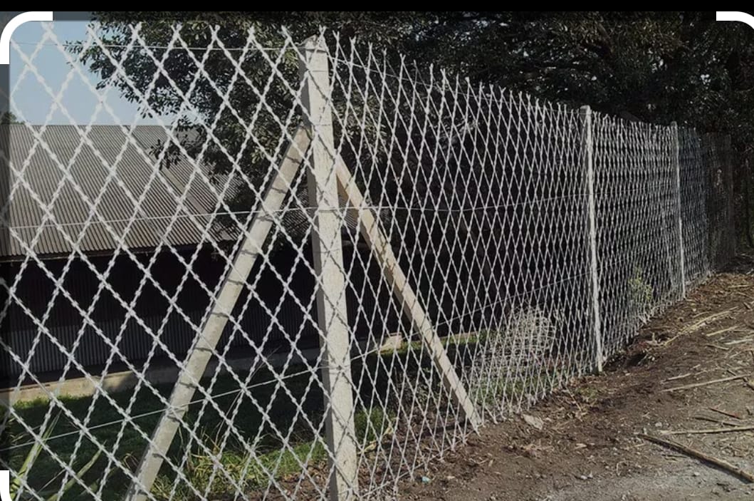 IMG-20240829-WA0007 IMG-20240829-WA0007